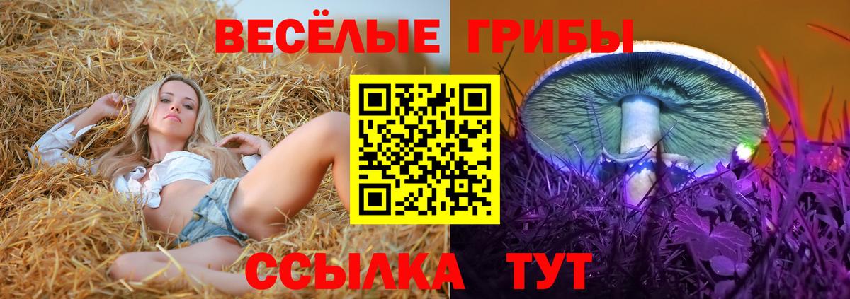 Калуга  Псилоцибиновые грибы Cubensis  Вход с VPN 