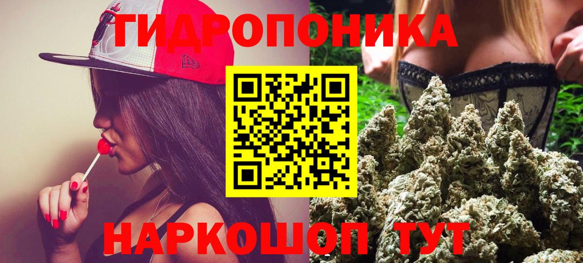 Бошки Шишки планчик Калуга